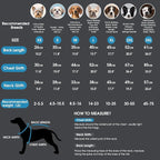 ASENKU Dog Winter Coat - Waterproof Windproof Dog Jacket, Warm Snowproof Doggie Puffer Vest for Cold Weather, Lightweight Snow Coats for Small Medium Large Dogs(L, Blue)