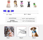 Light Up Dog Collar, Dlitk Rechargeable Cuttable LED Dog Collars, Pet Safety Light at Night Walking for Small Medium Large Dogs, Do Not Use Fast Charging (Blue)