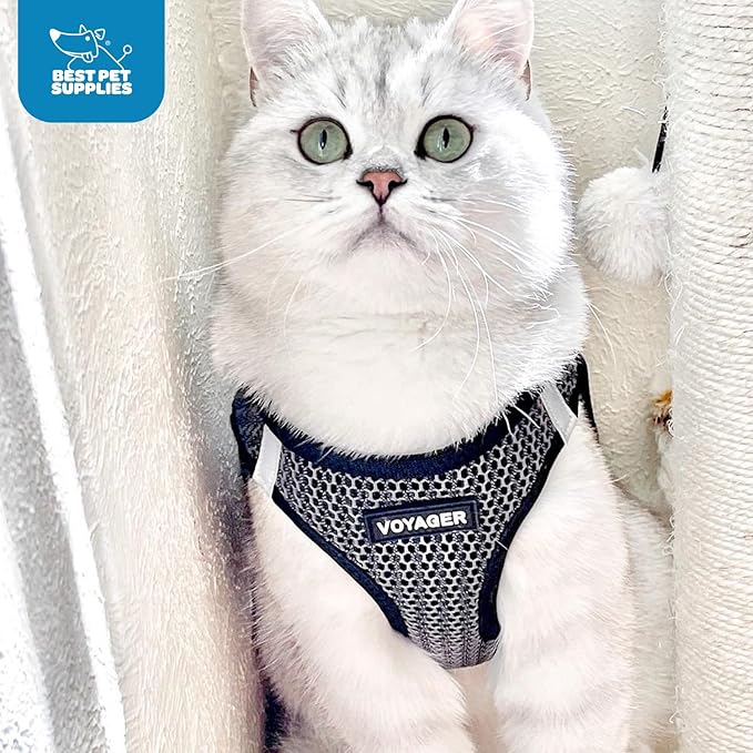 Best Pet Supplies Voyager Step-in Air Harness - All Weather Mesh, Reflective, No Pull Harness for Dogs, Cats - Secure with Hook & Loop Fastener, Buckle, Double D-Rings - Tone, L