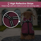 Warm Winter Coat for Dogs, Fashionable Sports Jacket with Built-in Harness, Reflective & Adjustable Pet Vest, Waterproof Windproof Apparel for Small Dogs (Purple)