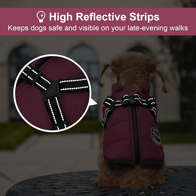 Warm Winter Coat, Fashion Sports Dog Jacket with Built-in Harness, Reflective & Adjustable Comfortable Pet Vest, Waterproof Windproof Apparel for Small Dogs (Purple)