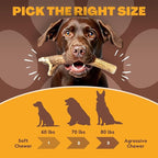 WhiteTail Naturals (3 Pack Deer Antlers for Large Dogs, Antler Dog Chews - Crafted in USA Dog Antler - Long Lasting Bone for Aggressive Chewers
