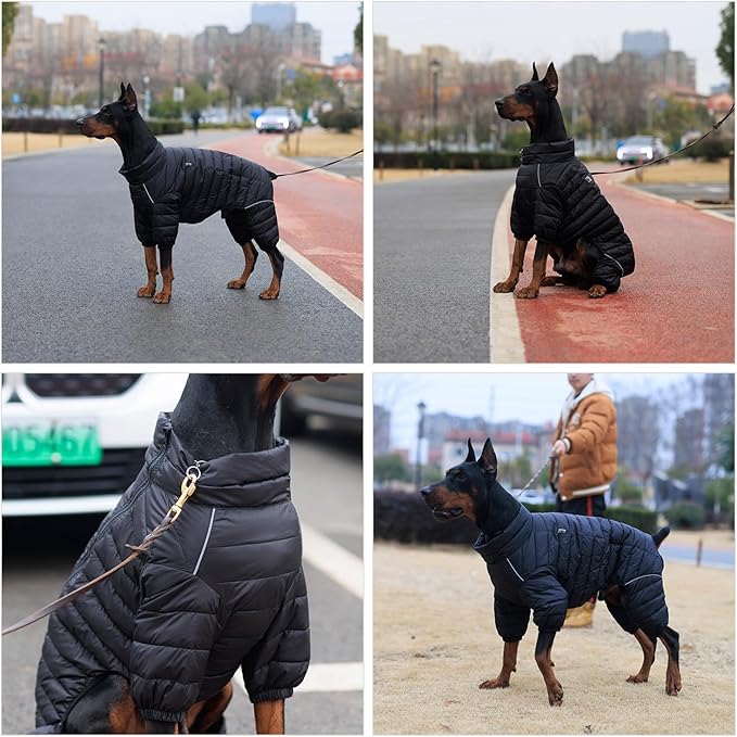 Warm Dog Coat, 4 Legs Covered Waterproof Windproof Reflective Vest, Zippered Adjustable Outdoor Snow Jacket for Small Medium Large Dogs Black M