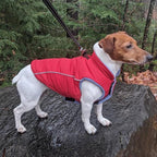 Gooby Sports Vest Dog Jacket - Red, X-Small - Reflective Dog Vest with D Ring Leash Warm Fleece Lined Hook and Loop Closure for Small to Medium Dogs