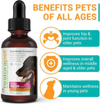 RestoraPet 2-Pack Dog & Cat Bacon Liquid Multivitamin | Dog Arthritis Pain Relief | Hip & Joint Vitamins for Dogs - Anti Inflammatory Supplement for Dogs & Cats | Organic & Non-GMO, Vet Approved