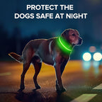 Light Up Dog Collar, Adjustable USB Rechargeable Glow in Dark Dog Collar ，Waterproof Dog Collars for Small Dogs (Green, Small)