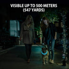 2-Pack LED Dog Collar, Light Up Dog Collars,Rechargeable Dog Lights for Night Walking，Universal, Reusable Safety Necklace for Small Medium Large Dogs Green&Blue