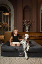 NOAH & PAW XL Dog Bed, 45x35x11 Inch, Orthopedic Large Dog Beds, Eggshell Memory Foam Infused with Cooling Gel, Inner Cover, Waterproof, Machine Washable (Faux Leather Sofa Collection)