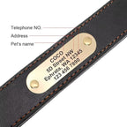 Didog Genuine Leather Dog Collars with Engraved Nameplate, Personalized Soft Leather Dog Collar with Custom ID Tag, Brown/Green/Red for Small Dogs (S,Black)