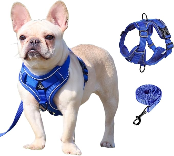SOLMOONY Small Dog Harness,Soft Mesh Puppy Harness and Leash Set,No Escape Cat Harnesses for Training Walking,Reflective Adjustable Puppy Vest for Small Medium Dogs, Cats (Navy Blue, S)