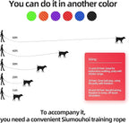 Dog/Puppy Obedience Recall Training Agility Lead -15ft 20ft 30ft 40ft 50ft Training Leash - Great for Play, Camping, or Backyard - Black 50ft