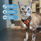 Voyager Step-in Lock Adjustable Cat Harness w. Cat Leash Combo Set with Neoprene Handle 5ft - Supports Small, Medium and Large Breed Cats by Best Pet Supplies - Orange/Black Trim, XS