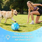 Size 3 Blue Dog Soccer Ball with Straps Eye-Catching Bone and Paw Print Design, Ultra-Durable Training Ball for Pets Interactive Outdoor Dog Toy, Perfect for Medium & Large Puppies