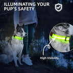 Super Bright LED Dog Collar - Fully Waterproof & Adjustable Glow Collar - USB-C Rechargeable for Night Walking, Safety - Flashing Lighted Collar for Dogs(Green,L)