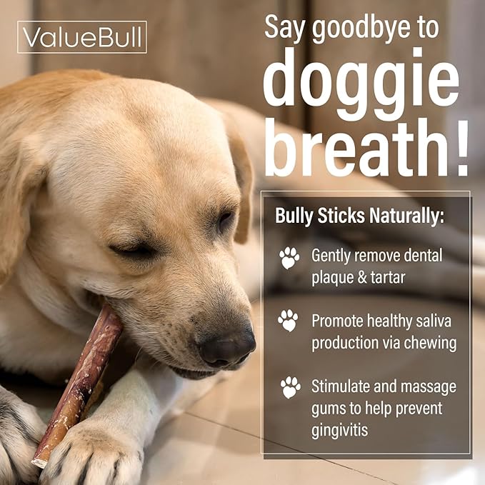 ValueBull Bully Sticks for Small Dogs, Extra Thin 6 Inch, 200 Count Bulk Pack - All Natural, Grass Fed, Single Ingredient, Long Lasting Dog Treats