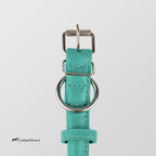 CollarDirect Rolled Leather Dog Collar, Soft Padded Round Puppy Collar, Handmade Genuine Leather Collar Dog Small Large Cat Collars 13 Colors (15-19 Inch, Mint Green Textured)