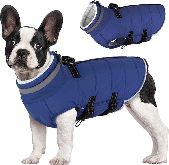 Large Dog Coat with Harness Built-in, Waterproof Reflective Fleece Lined - Warm Windproof Winter Jacket with Back Zipper, Cold Weather Snow Dog Coats - Blue - 2XL