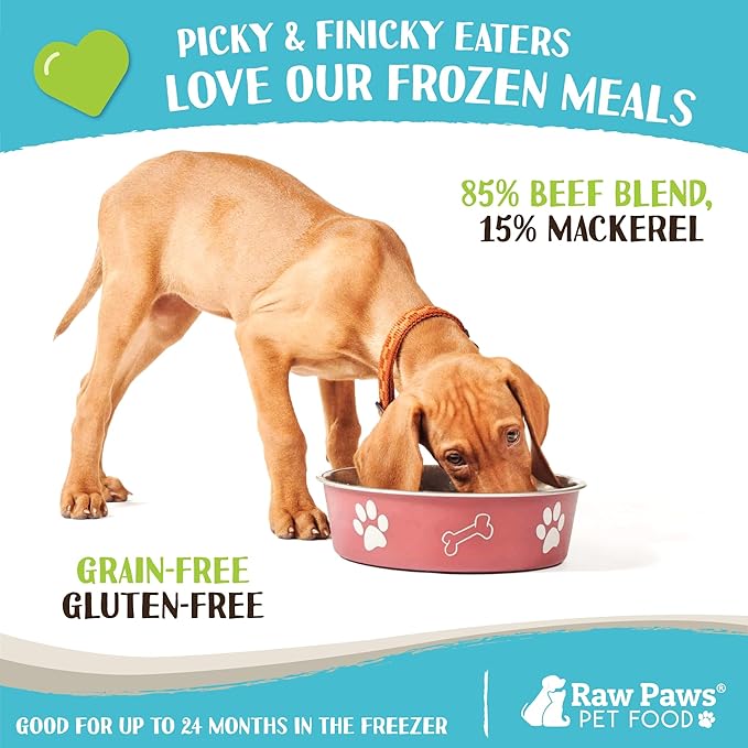 Raw Paws Signature Blend Pet Food for Dogs & Cats - Beef & Wild-Caught Mackerel Recipe, 1-lb Rolls (20 Pack) - Freshly Made in USA Natural Beef Fish Dog Food - Mackerel for Dogs, Raw Cat Food
