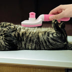 Pet Cleaning Deshedding Brush,Pet Hair Removal Brush for Shedding Massaging Grooming for Small Dogs,Cats,Rabbits(pink)