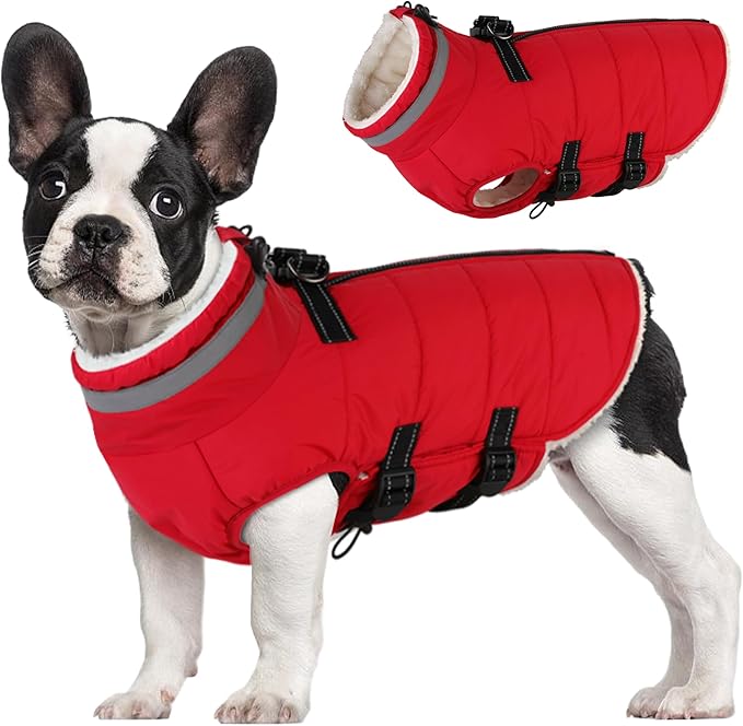 Large Dog Coat with Harness Built-in, Waterproof Reflective Fleece Lined - Warm Windproof Winter Jacket with Back Zipper, Cold Weather Snow Dog Coats - Red - XL