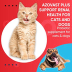 Azovast Plus Kidney Health Supplement for Dogs & Cats, Oral Paste (60 cc) - NO Refrigeration Required - Help Support Kidney Function & Manage Renal Toxins Chicken Flavor (Made in U.S.A(60cc)