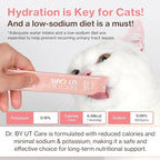 Dr.by UT Care Cat UTI Kidney Support Urinary Supplement Cranberry Treatment for Cats Renal Health with Pacran, Quercetin, Taurine lickable Formula Individually Packaged (1 Pack)