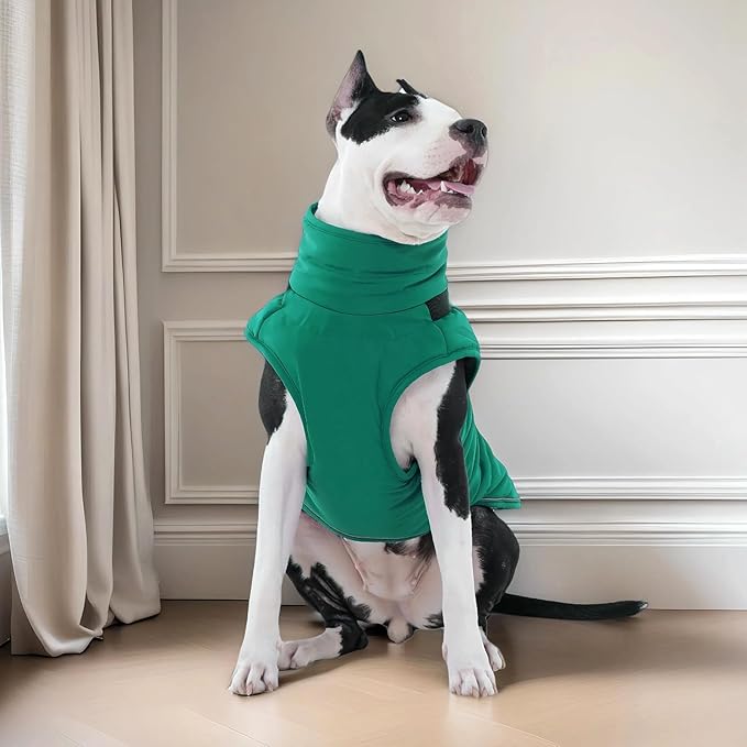 Kuoser Winter Dog Coat for Medium Dogs, Cold Weather Jacket & Vest for French Bulldog, Boston Terrier, Green M