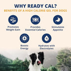 Under the Weather Pet Electrolytes Ready Cal Plus Gel for Dogs | Vet-Formulated High-Calorie Supplement for Dog & Puppy | Provides Essential Calories & Promotes Weight Gain | 3.5 Oz Tube Pack