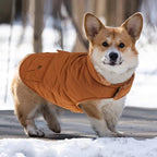 Queenmore Warm Dog Coat, Cold Weather Puffer Dog Jacket with Ultra Thick Plush Lining and Storage Pockets (Brown, Medium)