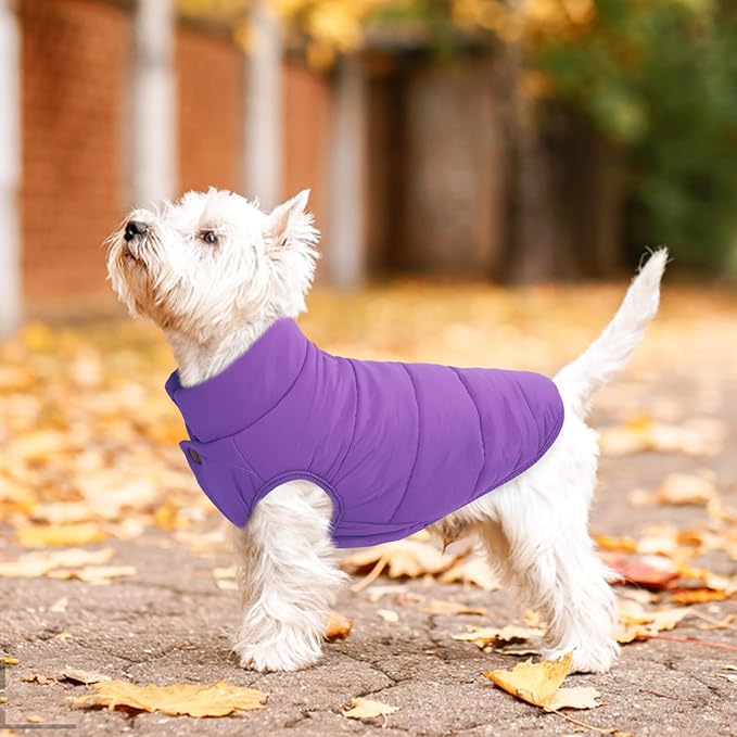 ASENKU Dog Winter Coat - Waterproof Windproof Dog Jacket, Warm Snowproof Doggie Puffer Vest for Cold Weather, Lightweight Snow Coats for Small Medium Large Dogs (Purple, S)