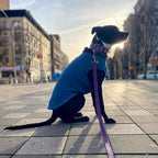 Gooby Stretch Fleece Vest Dog Sweater - Steel Blue, 5X-Large - Warm Pullover Super Stretchy Fleece Dog Jacket for Small to Large Dogs