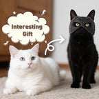Cat Bat Mask Halloween Costumes Accessories for Cats, Cat Bat Cosplay Apparel (Medium, Black Spider)