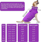 Doglay Dog Winter Coat, Waterproof Dog Jacket with Pocket, Reflective Turtleneck Pet Winter Jackets, Warm Puppy Snow Jacket for Small Medium Large Dogs