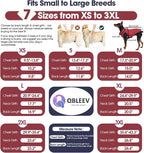QBLEEV Reversible Dog Winter Coat, Waterproof Windproof Warm Jacket with Adjustable Hook & Loop Design, Lightweight Puffer Vest for Medium Dogs, Wine Red, M – Fits Pug, Beagle, Corgi