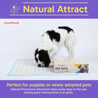 PETSWORLD Health Monitoring Dog Pee Pads – 37x54 Inch, 50 Count 3XL Color-Changing Potty Pads | Detects Health Issues | Leak-Proof, Ultra Absorbent, Odor Control