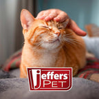 Jeffers Non-Slip Slicker Brush for Pets – Medium Size, Soft Pins, Red & Black – Detangling Grooming Tool for Dogs & Cats with Short, Long, Thick & Curly Coats – Comfortable Grip Pet Comb