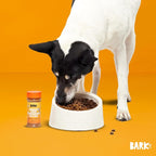 Barkbox Chicken Dog Treat Topper High Protein Limited Ingredient Meal Mixer, Rosemary Extract for Large & Small Breeds, Elevate Dog Food Dining, Shake & Pour for Dog Bowls (Pack of 3)