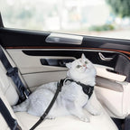 Cat Harness and Leash Set, Cat Car Harness, Soft and Breathable Vest with Reflective Strip, Anti Escape Adjustable Cat Harness, Easy to Wear for Cats Walking and Traveling, Black, M