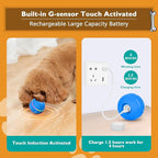 PetDroid Interactive Dog Toys Dog Ball,[Newly Upgraded] Durable Motion Activated Automatic Rolling Ball Toys for/Small/Medium/Large Dogs,USB Rechargeable (Blue)