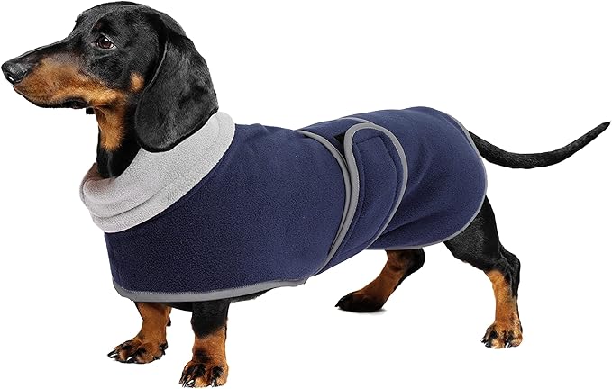 Geyecete Dachshund Sweaters - Dachshund Coat Perfect Winter Dog Jacket with Padded Fleece Lining and High Collar, Snowsuit with Adjustable Bands - Navy - S