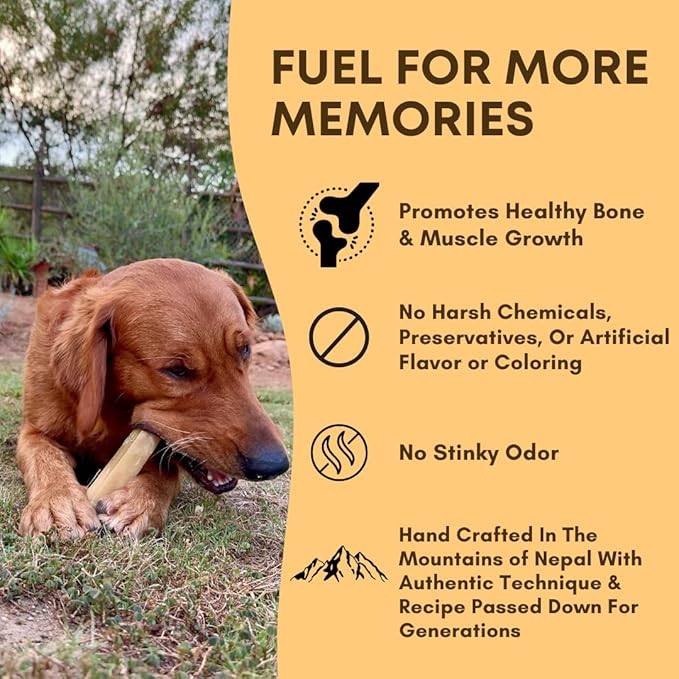 Yak Cheese Himalayan Dog Chews – Long-Lasting Natural Chews for Aggressive Chewers – 2-Ingredient, High Protein, Odorless, Dental Health Treats for Dogs (Large, 12 Pack)