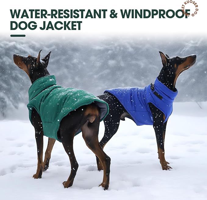 Kuoser Dog Jacket, Warm Dog Coat with Harness Built in for Small Dogs, Puppy Winter Jacket Pet Clothes for Cold Weather, Windproof Doggie Winter Vest for Pug Dachshund, Green S