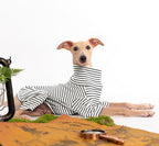 Dog Sweaters for Small Dogs Girls Boys, Striped Pet Sweaters for Fall Winter Dog Clothes, Turtleneck Pullover Knitwear for Small Medium Large Dogs