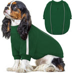 Queenmore XS Christmas Dog Sweater, Cozy Fleece Dog Sweatshirt, Warm Winter Fleece Jacket for Small, Medium & Large Dogs with Leash Hole/Reflective Stripes Green