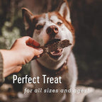 Farm Hounds - Duck Strips - Premium Natural Jerky for Dogs - Made from 100% Humanely Raised Duck - Great for Training & Treats - No Added Fillers - Made in USA - 4.5 oz - 2 Pack