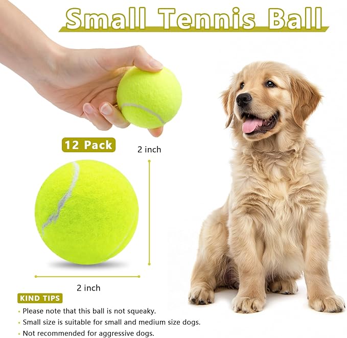 Magicorange 12 Pack Small Tennis Balls, 2 inch Tennis Balls for Dogs,Colorful Easy Catching Pet Playing Ball(Yellow, 12 Pack)