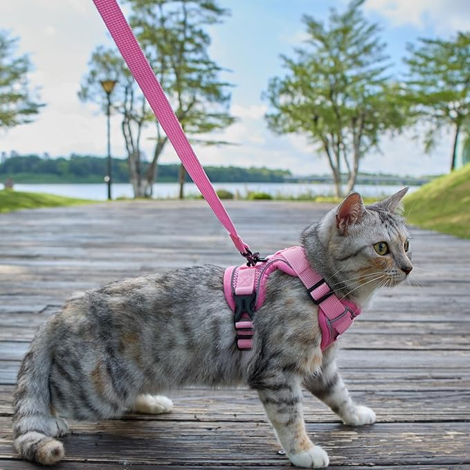 Cat Harness and Leash Set Escape Proof Tactical Medium Kitten Harness Emotional Support Cat Vest, Pink, M