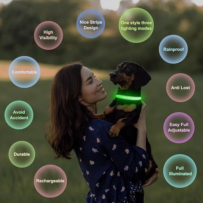 Multi-Color Light up Dog Collar, YFbrite USB Rechargeable LED Puppy Collar Super Bright Adjustable Glowing Dog Lights for Night Walking (Multi-Color, Medium)