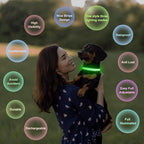 Multi-Color Light up Dog Collar, YFbrite USB Rechargeable LED Puppy Collar Super Bright Adjustable Glowing Dog Lights for Night Walking (Multi-Color, Medium)