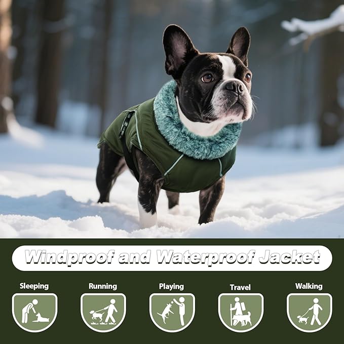 DENTRUN Medium Dog Winter Jacket - Warm Reflective Windproof Coat, Adjustable Neck & Snap Closure, Water Repellent Thick Fleece Vest, Fleece Lined for Beagle Pug, Army Green, M